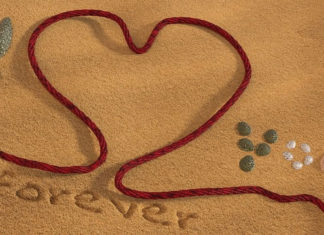 사랑의 터치(touch)