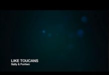 하늘을 나는 큰부리새 처럼