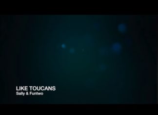 하늘을 나는 큰부리새 처럼