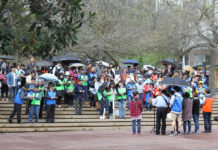 오클랜드 연합 거리전도