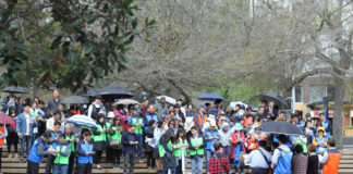 오클랜드 연합 거리전도