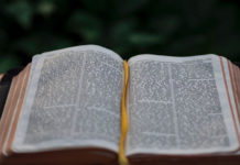 성경, 구원에 이르는 지혜를 주는 책