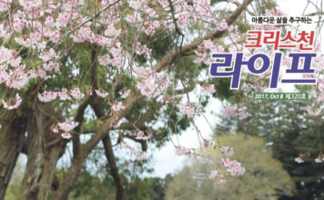 꽃샘추위에도 봄은 어디에나 있다