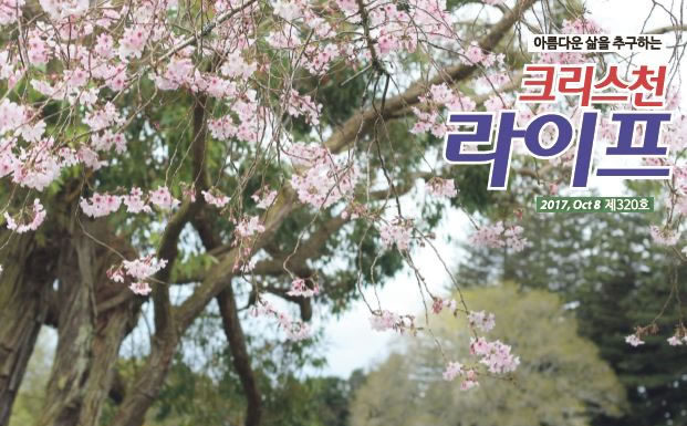 꽃샘추위에도 봄은 어디에나 있다