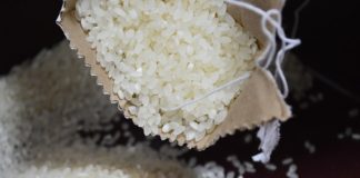 성탄맞이 위문대