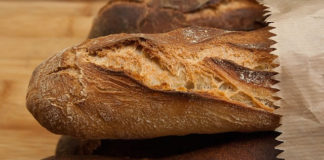 사랑의 빚진 자로 살아간다는 것