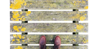 느헤미야, 이상을 현실로 풀어낸 사람