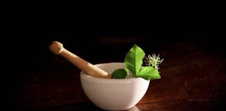 마약과 내 마음의 집