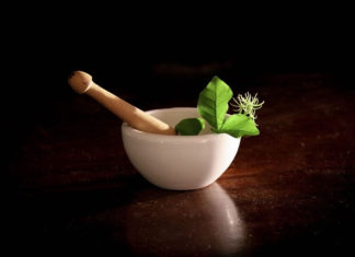 마약과 내 마음의 집