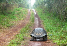오호라! 나는 멍청한 자로다