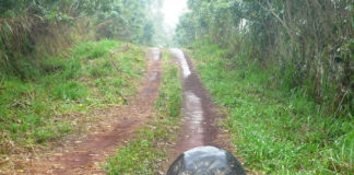 오호라! 나는 멍청한 자로다