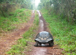 오호라! 나는 멍청한 자로다