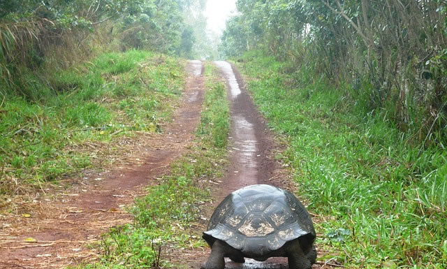 오호라! 나는 멍청한 자로다