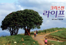 The Alliance Churches of New Zealand