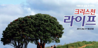 The Alliance Churches of New Zealand