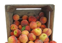 성한 삶보다 상한 삶의 맛이란