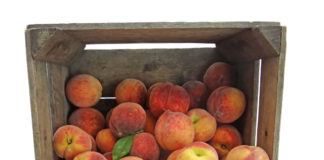 성한 삶보다 상한 삶의 맛이란