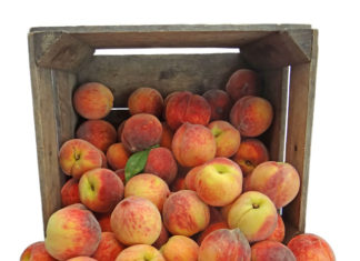 성한 삶보다 상한 삶의 맛이란