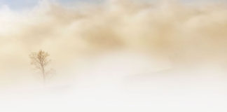 유대 전쟁, 이스라엘의 멸망