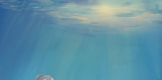 갈릴리 삼총사/암눈 틸라피아