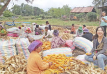합숙생활과 캄보디아 사람들 이해하기