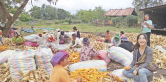 합숙생활과 캄보디아 사람들 이해하기