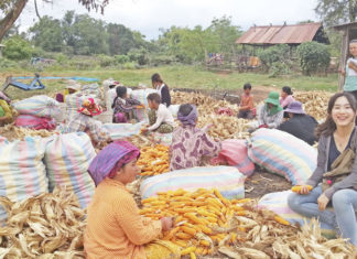 합숙생활과 캄보디아 사람들 이해하기