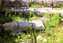 세상에서 가장 위대한 발자취, 비아 돌로로사