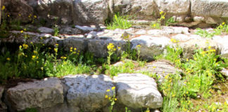 세상에서 가장 위대한 발자취, 비아 돌로로사