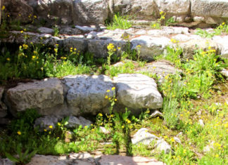 세상에서 가장 위대한 발자취, 비아 돌로로사