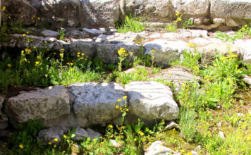 세상에서 가장 위대한 발자취, 비아 돌로로사