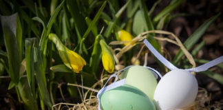 4월 첫째 주 164장 예수 부활 했으니