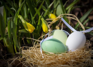 4월 첫째 주 164장 예수 부활 했으니