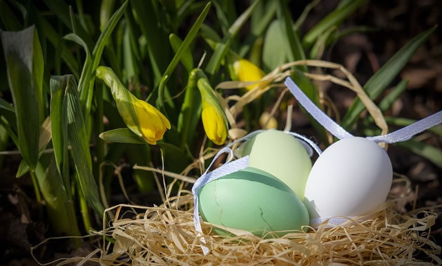 4월 첫째 주 164장 예수 부활 했으니