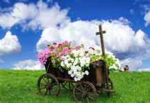 뉴질랜드가 걷고 있는 길을 위하여