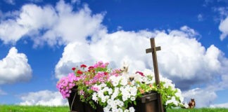 뉴질랜드가 걷고 있는 길을 위하여