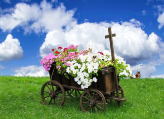 뉴질랜드가 걷고 있는 길을 위하여