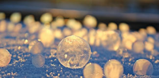 “내가 미련한 건 아니지…”