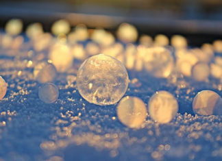 “내가 미련한 건 아니지…”