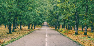 4월 다섯째 주 찬송/5월 첫째 주 찬송