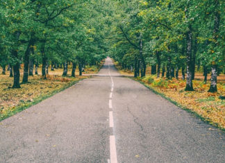 4월 다섯째 주 찬송/5월 첫째 주 찬송