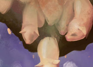 귀신들린 돼지 떼, 호수로 뛰어들다