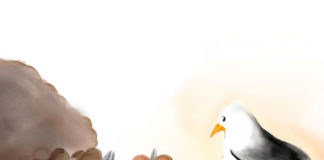 오병이어의 현장에 선 갈매기 기드온