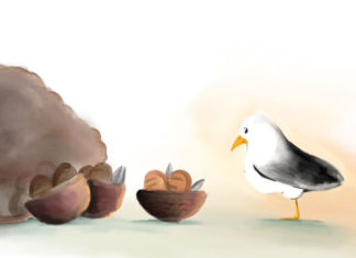 오병이어의 현장에 선 갈매기 기드온