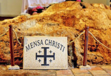 흔들리는 ‘갈대’ 꼬리표를 달고 다닌 사람