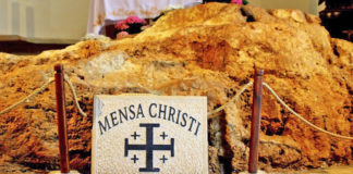 흔들리는 ‘갈대’ 꼬리표를 달고 다닌 사람