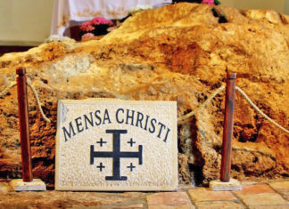 흔들리는 ‘갈대’ 꼬리표를 달고 다닌 사람