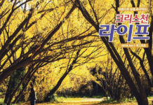 가을에 떠난 남섬 여행