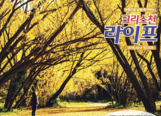 가을에 떠난 남섬 여행