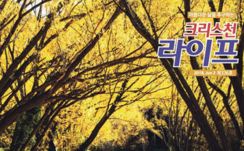 가을에 떠난 남섬 여행